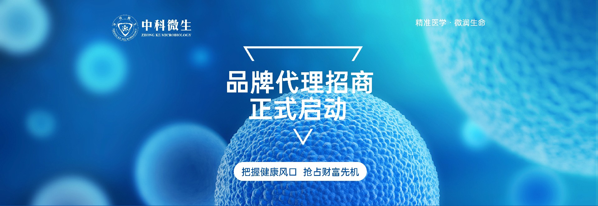 招商联盟_画板-1_01.jpg